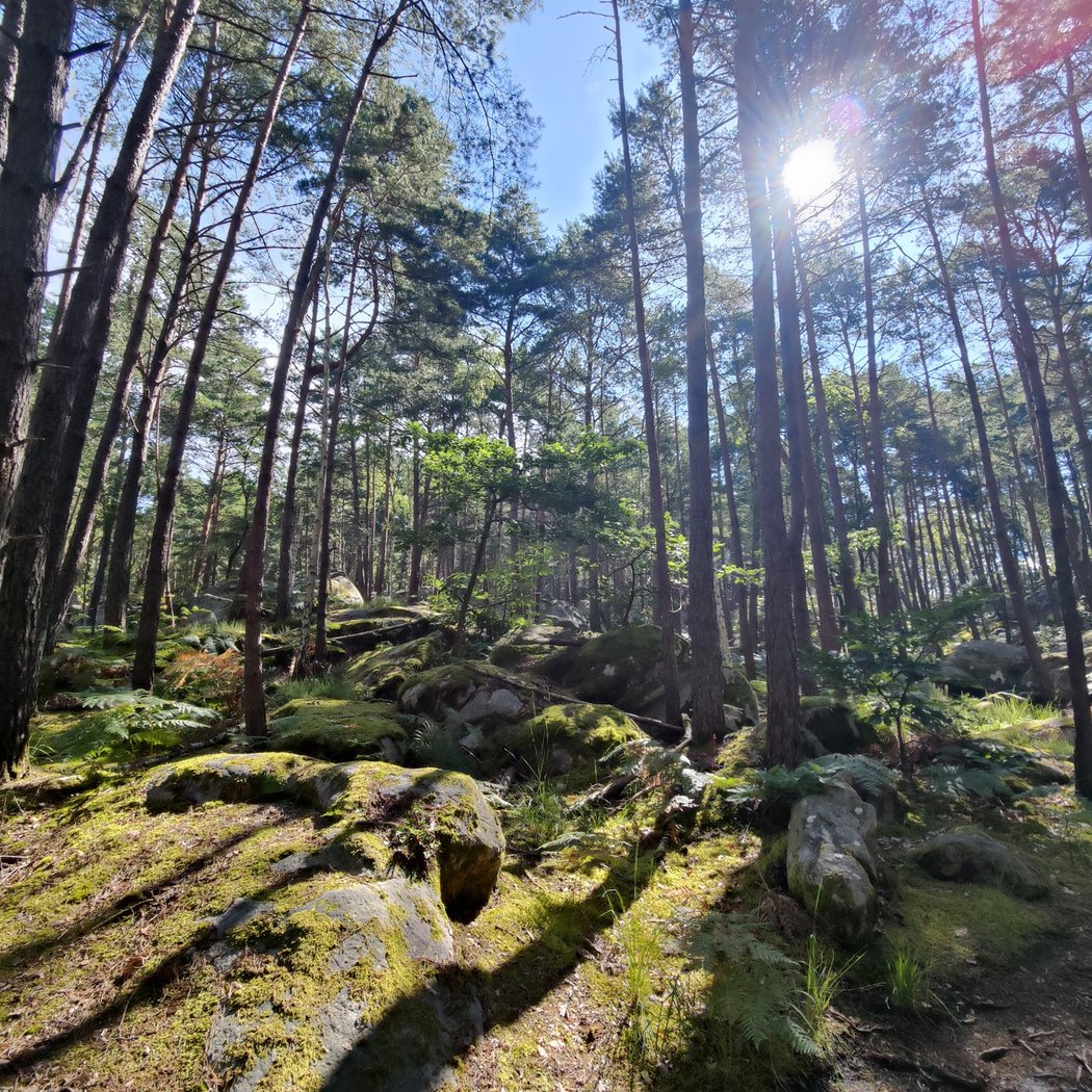 Panorama sur Bois le Roi et Melun 2